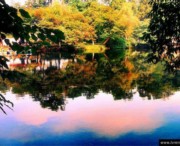 花溪天气预报10天