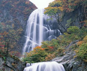 茂县天气预报10天